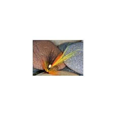 Parkshrimpsdg