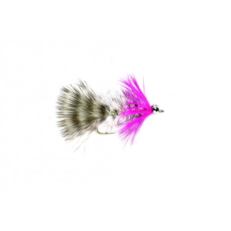 Polarmagnus Single