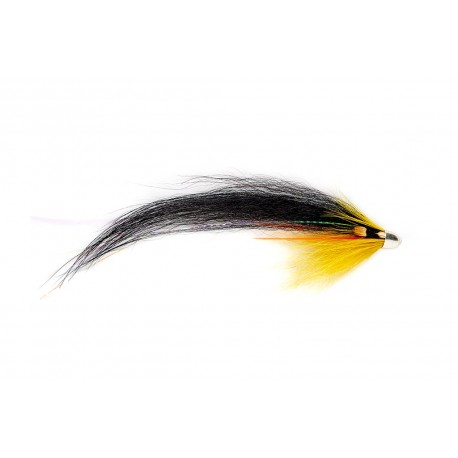 Rs Black & Yellow Solar Monkey