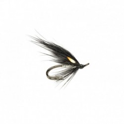 Rs Low Water Silver Stoat