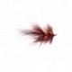 Somer's Claret Shrimp