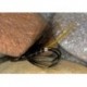 Stoattail