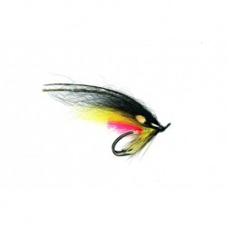 Temple Dog Black & Yellow
