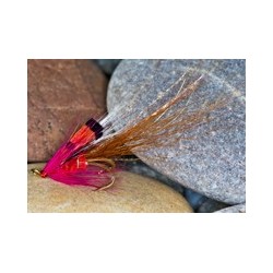 Tilbouries shrimp