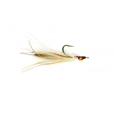 Abaco Shrimp
