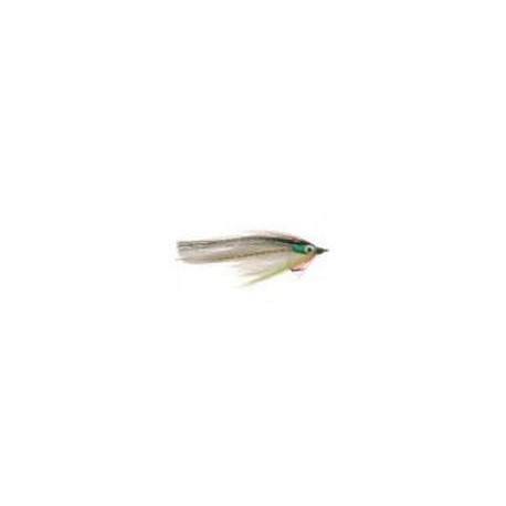 Big Eye Baitfish