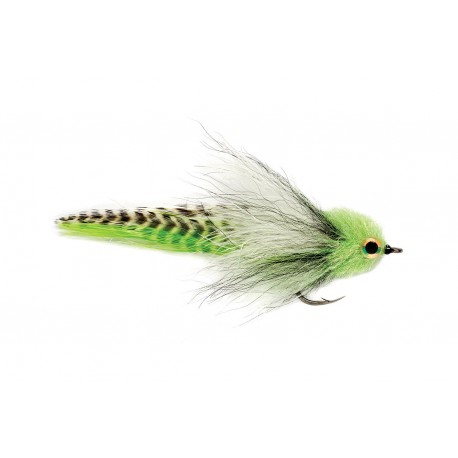 Big Eye Mullet