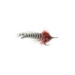 Big Eyer Tarpon