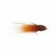 Bissetts Mud Bug Brown