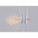 Blue Crab