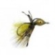 Boggle Head Olive