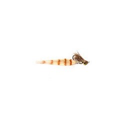 Borski Bonefish Slider