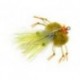 Bruja Crab