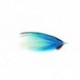 Bucktail Blue White