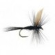 Black Gnat Bl