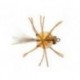 Captain Crabby