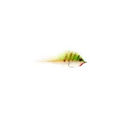 Chicone S Gt Pinfish