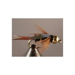 Bh Flashwing Prince