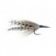 Cockroach