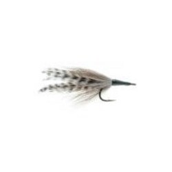 Cockroach