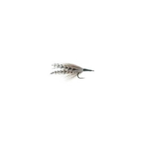 Cockroach