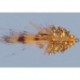 Colbys Mini Corona Toad Gold