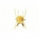 Crab Flexo Olive