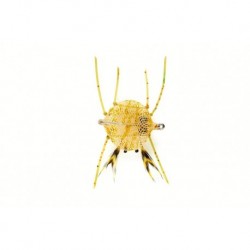 Crab Flexo Olive