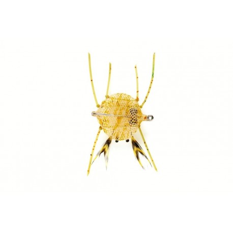 Crab Flexo Olive