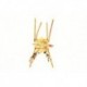 Crab Flexo Sand
