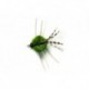 Creole Olive (Jt)