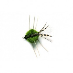 Creole Olive (Jt)