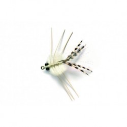 Creole White (Jt)
