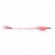 Cuda Snack Red