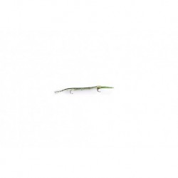 Dinos Cuda Chartreuse & White