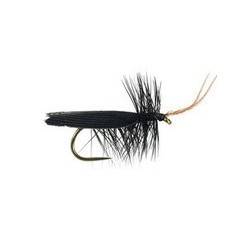 Black Horned Roofing Bl