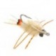 Fishient Crab
