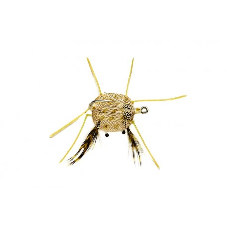 Flexo Crab Olive