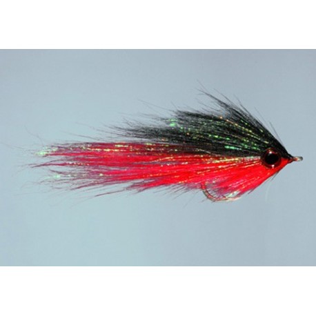 Hamiltons Bush Pig Black Red