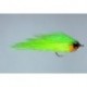 Hamiltons Bush Pig Chartreuse