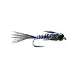 Bh Lightening Bug Black