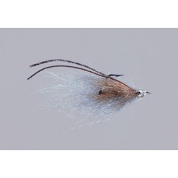 Kures Brown Eyed Polar Shrimp