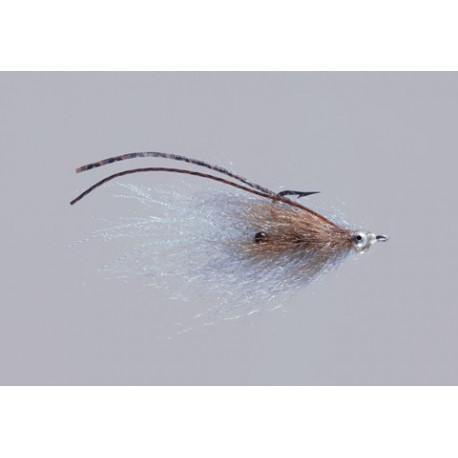 Kures Brown Eyed Polar Shrimp