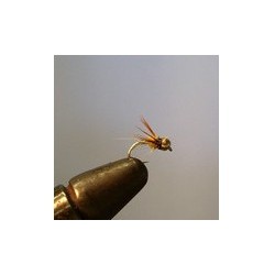 Bh Lightening Bug