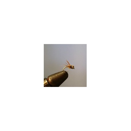 Bh Lightening Bug