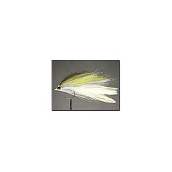 Major Sardine