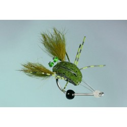 Meades Gutless Crab Olive