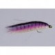 Mihulkas Purple Superfish