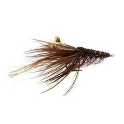 Mw Good Year Shrimp Dark