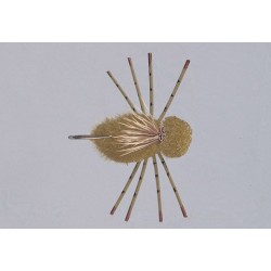 Olive Belize Crab